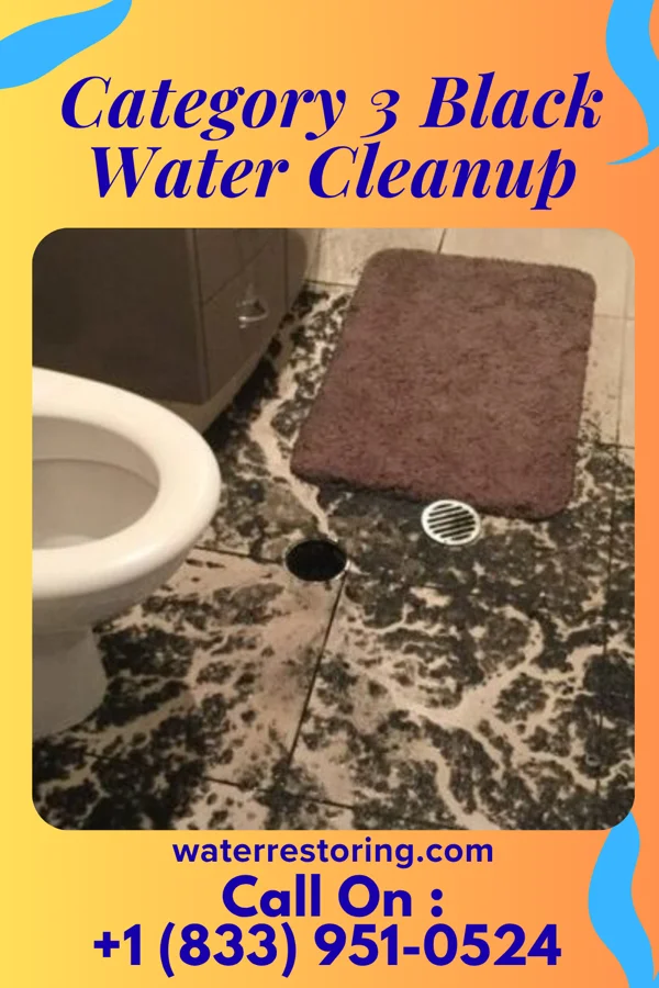 Category 3 Black Water Cleanup in Mogadore, OH