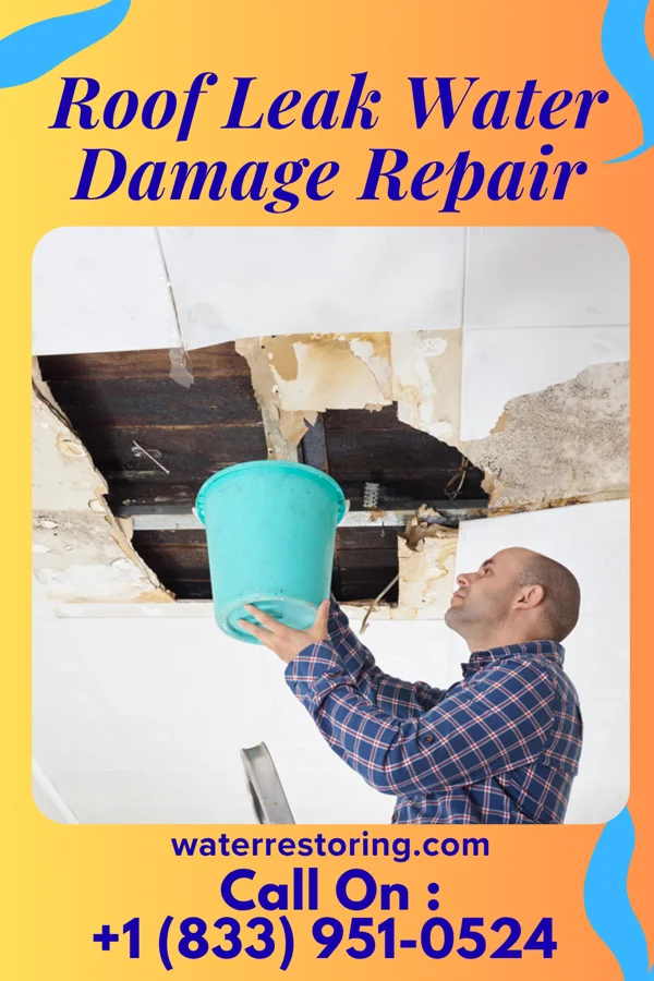 Roof Leak Water Damage Repair in Mogadore, OH