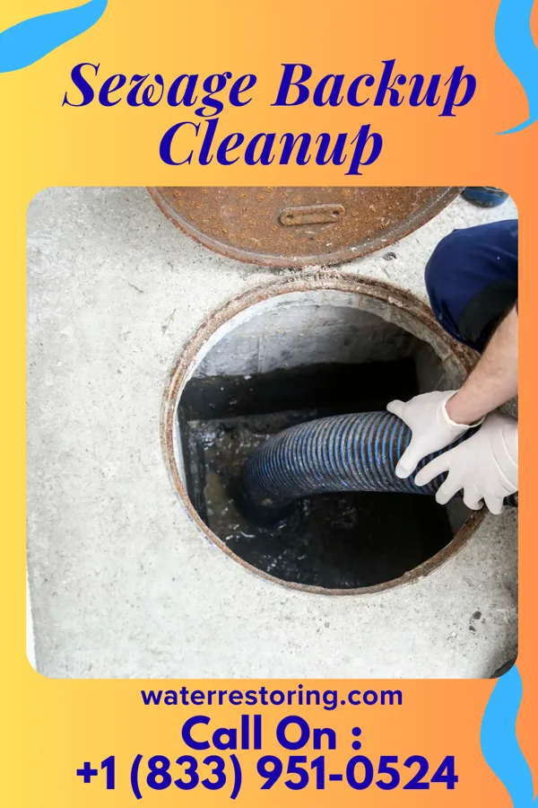 Sewage Backup Cleanup in Mogadore, OH